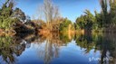 Noncello al parco del seminario. Foto di Foto di Gianni Fumi (8/2/2019)