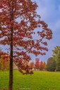 La città emerge dalla natura Foto di @alessioalexfoto (07/11/2022)