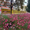 La fine dell'estate in città coincide con la stagione della Festa del libro con gli autori. Foto di Gianna Salvador @giannasalvador_ (11/09/2023)
