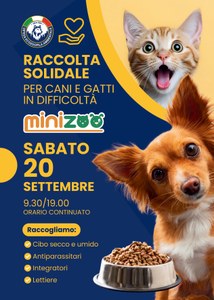Raccolta solidale per cani e gatti in difficoltà