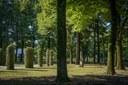 Parco IV Novembre_viale