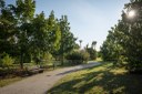 Parco Cimolai_viale