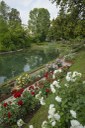 Parco Galvani_laghetto
