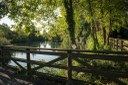Parco Martiri delle foibe_flora acquatica
