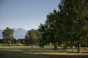 Parco Martiri delle foibe_panoramica