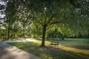 Parco Martiri delle foibe_panchine