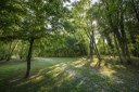 Parco Reghena_prato soleggiato