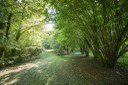 Parco Reghena_prato