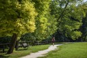 Parco di San Valentino_panchina